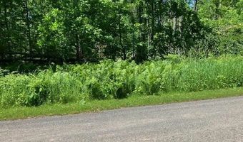 TBD MAPLE ISLE COURT UNIT 32 33 & AMP 34, Alanson, MI 49706