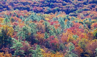 426-30 A THE HILL Rd L-30, Basye, VA 22810