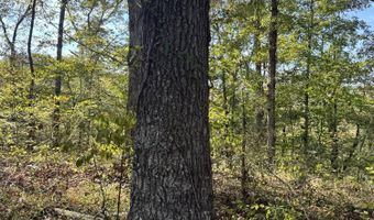 1 Mooretown Hill Rd, Beattyville, KY 41311