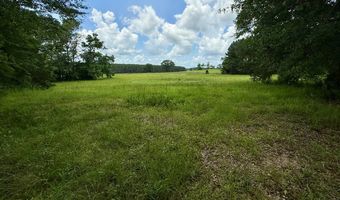 3100 Wallace Dr, Bogue Chitto, MS 39629