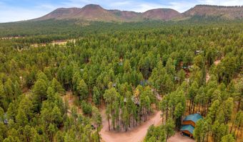 2 County Road 2069, Alpine, AZ 85920