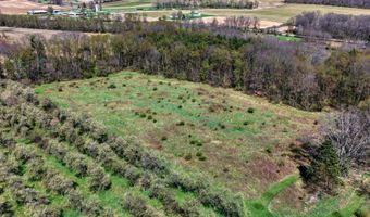 V/L W Chicago Road, Allen, MI 49227