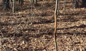 439 WILD ROSE Trl, Ashville, AL 35953