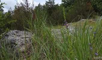 13 Hidden Vly Lks, Annapolis, MO 63620