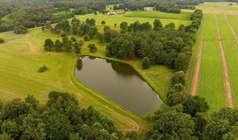 000 Almo Shiloh Rd, Almo, KY 42020
