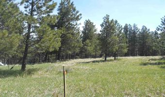 Lot 7, Angel Fire, NM 87710