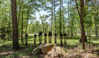 1250 Mosley Rd, Lincolnton, GA 30817