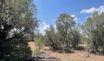 4934 Elk Trail Rd, Clay Springs, AZ 85923