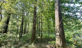 1 Champion Hill Rd, Bolton, MS 39041