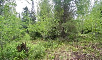 200 Woodland Star Cir, Whitefish, MT 59937