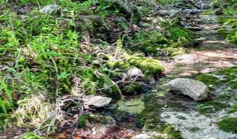 2926 Bryant Ridge Rd, Baxter, TN 38544