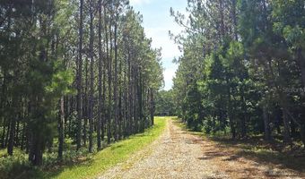10333 NW 132ND Dr, Alachua, FL 32615