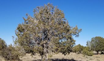214 NE Qtr W Rut, Ash Fork, AZ 86320