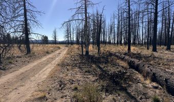 Mahogany Lane 200, Beatty, OR 97621