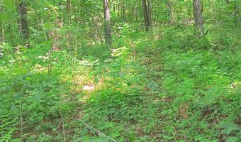 2500 S Coalmine Lot 2 Rd, Bloomfield, IN 47424