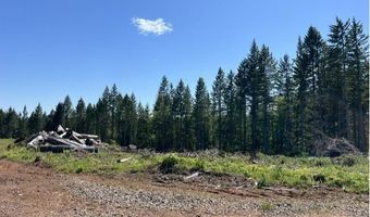 Tunnel Tract Parcel2, Banks, OR 97106