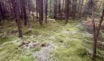 Thorn Hill Road lot 406/22, Bethlehem, NH 03574