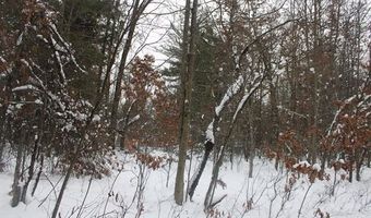 VL Good, Alger, MI 48610