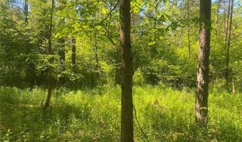 Townline Road, Angelica, NY 14709