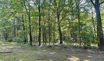 8923 Torch Lake Dr SE, Alden, MI 49612