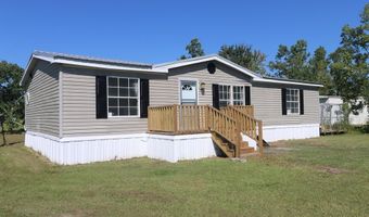 113 Briteblue, Alma, GA 31510