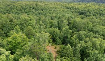 2401 Bell Point Rd, Beattyville, KY 41311