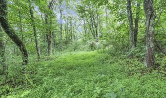 16749 Mush Run Rd, Athens, OH 45701