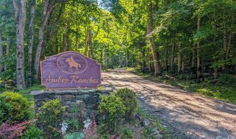 Amber Ranches 47, Bakersville, NC 28705