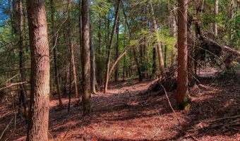54 E Ridge Rd, Allardt, TN 38504
