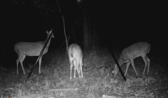 13489 S Center Point Rd, Atoka, OK 74525