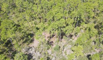 21947 NW Isoletta Rd, Altha, FL 32421