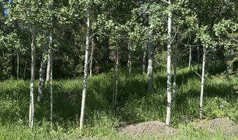 L22 CARIBOU FOREST DRIVE, Alpine, WY 83128
