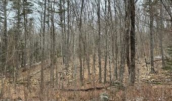 10-3 18 Myrtle St, Campton, NH 03223