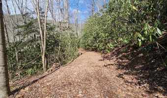 Warrior Way lot 16, Andrews, NC 28901