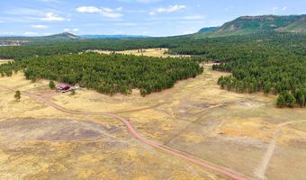 3 County Rd. N2157 Parcel 3, The Meadows Edge, Alpine, AZ 85920