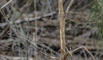 2116 Highway 84 E, Brookhaven, MS 39601