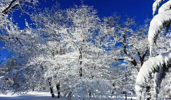 Victoria Drive 18, Alpine, CA 91901
