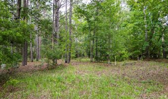 115 Smith Island Trl B, Bonneau, SC 29431