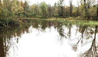 1071 LR 3, Ashdown, AR 71822