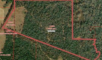 115355 115353 CR 2501, Alto, TX 75925