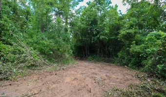 Lot 10 Booster Club Road, Bainbridge, GA 39819