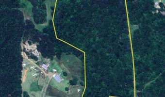 E-S Drive, Braxton, MS 39044