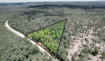 5628 Tubman Rd, Appling, GA 30802