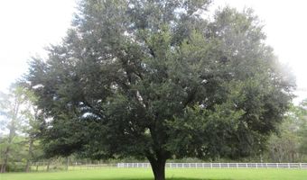 8500 NE 41ST Ct, Anthony, FL 32617