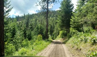 Lot 20 Arlee Pines, Arlee, MT 59821