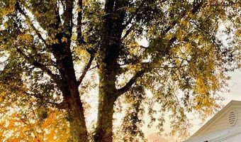 7631 Gray Rd, Alma, IL 62807