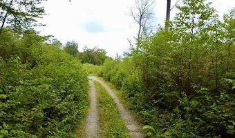 224 Arrau Rd, Andover, VT 05143