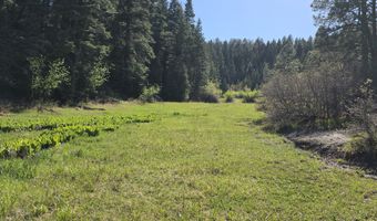 15098 CR 240, Bayfield, CO 81122