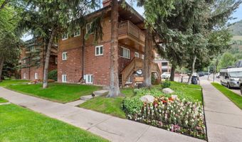 805 E Cooper Ave 2, Aspen, CO 81611