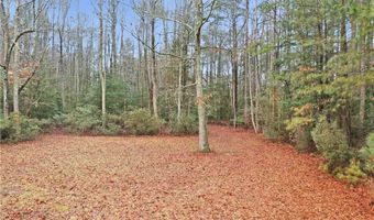 5 1+AC High Bluff Ln, Barhamsville, VA 23011